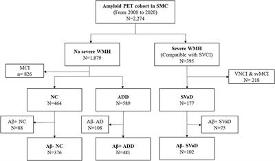 Relationships between educational attainment, hypertension, and amyloid negative subcortical vascular dementia: The brain-battering hypothesis